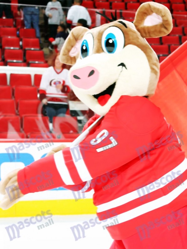 Ottawa Senators Mascot - Spartacat  Mascot, Ottawa senators, Mickey mouse