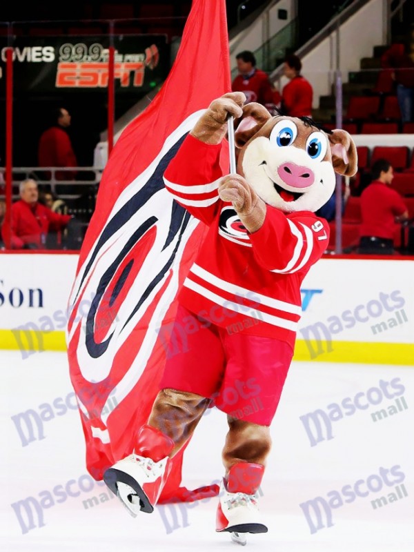 Stormy Carolina Hurricanes Ice Hog Mascot Costume Animal