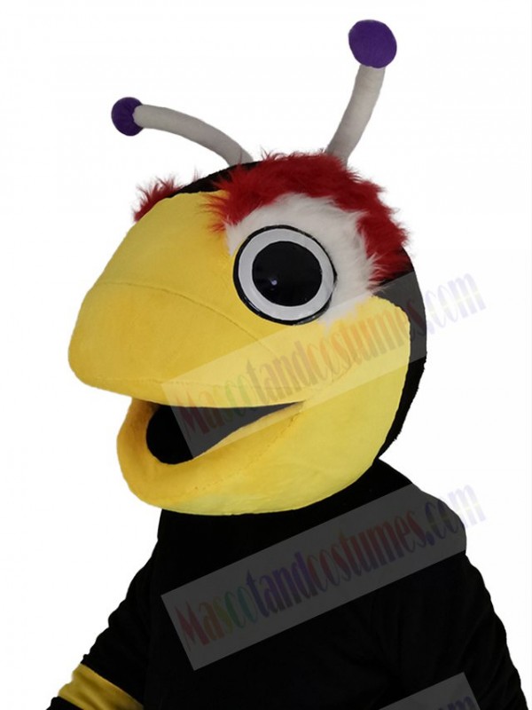 Black Tampa Bay Lightning Thunderbug Mascot Costume Animal