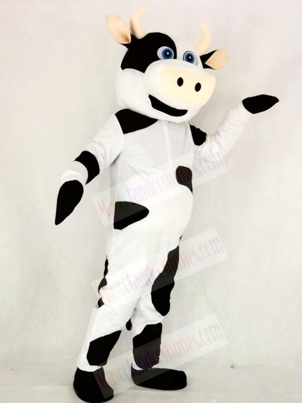 Realistic Cute Cow Mascot Costume School